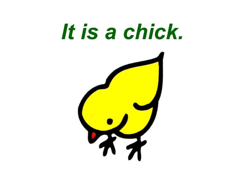 It is a chick.