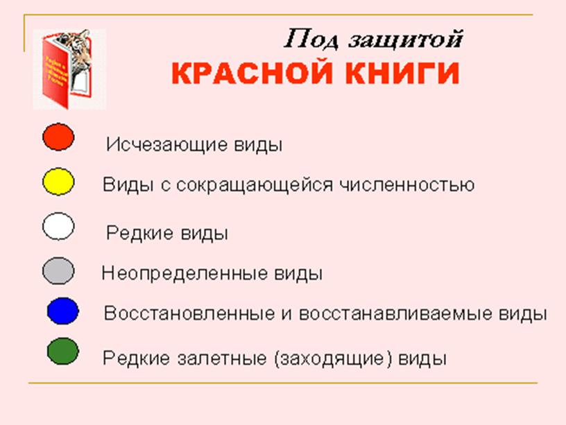 Красная книга урок