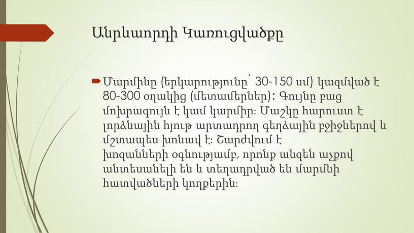 Անրևաորդի Կառուցվածքը Մարմինը (երկարությունը՝ 30-150 սմ) կազմված է 80-300 օղակից (մետամերներ)։ Գույնը բաց մոխրագույն է կամ կարմիր։ Մաշկը հարուստ է լորձնային հյութ արտադրող գեղձային բջիջներով…