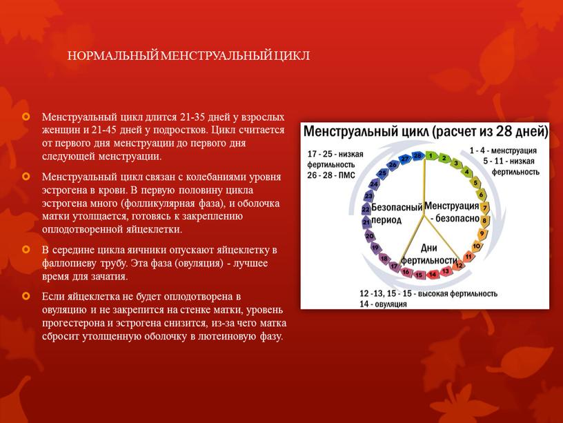 НОРМАЛЬНЫЙ МЕНСТРУАЛЬНЫЙ ЦИКЛ