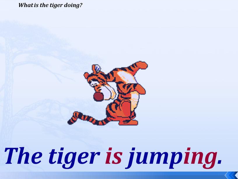 What is the tiger doing? The tiger is jumping