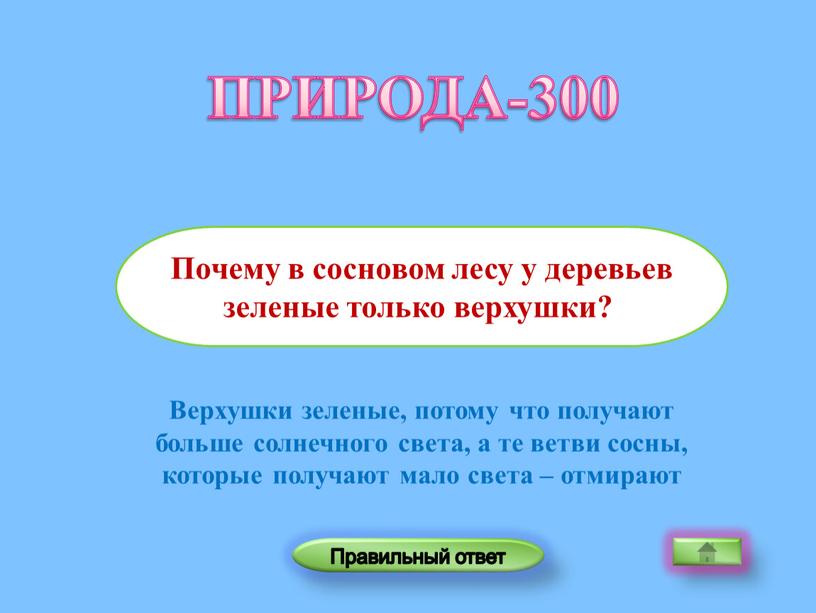 Верхушки зеленые, потому что получают больше солнечного света, а те ветви сосны, которые получают мало света – отмирают