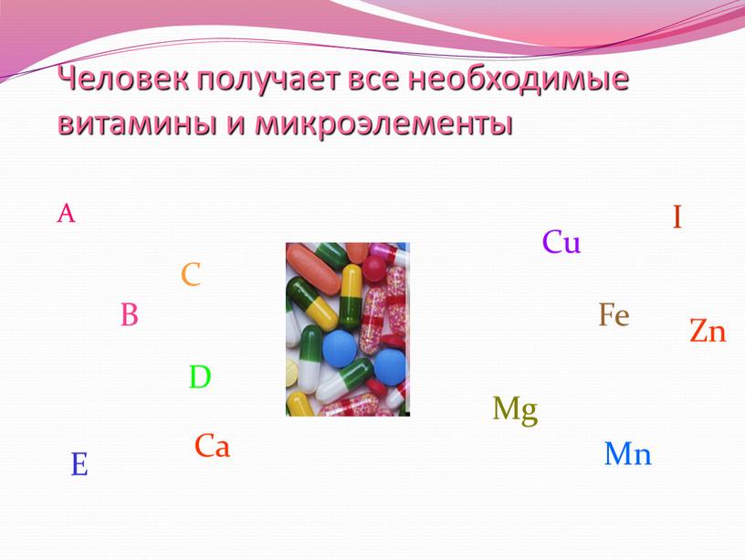 Человек получает все необходимые витамины и микроэлементы