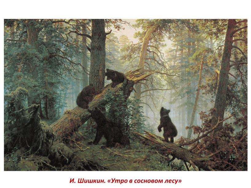 И. Шишкин. «Утро в сосновом лесу»