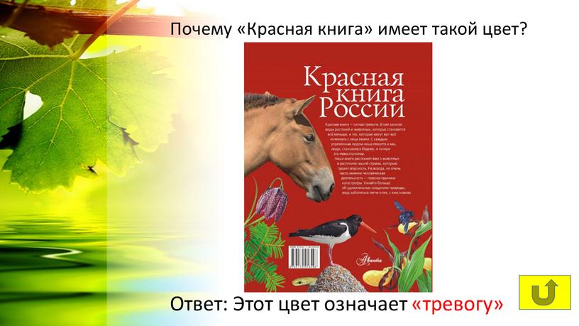 Почему «Красная книга» имеет такой цвет?