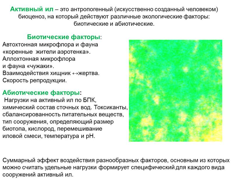 Активный ил – это антропогенный (искусственно созданный человеком) биоценоз, на который действуют различные экологические факторы: биотические и абиотические
