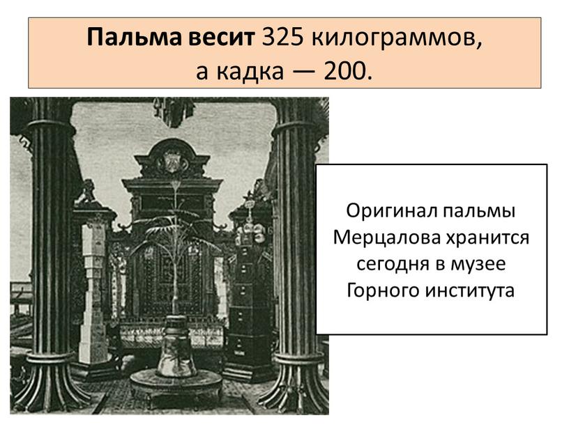 Пальма весит 325 килограммов, а кадка — 200