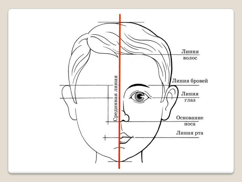 Презентация "Рисуем лицо человека"