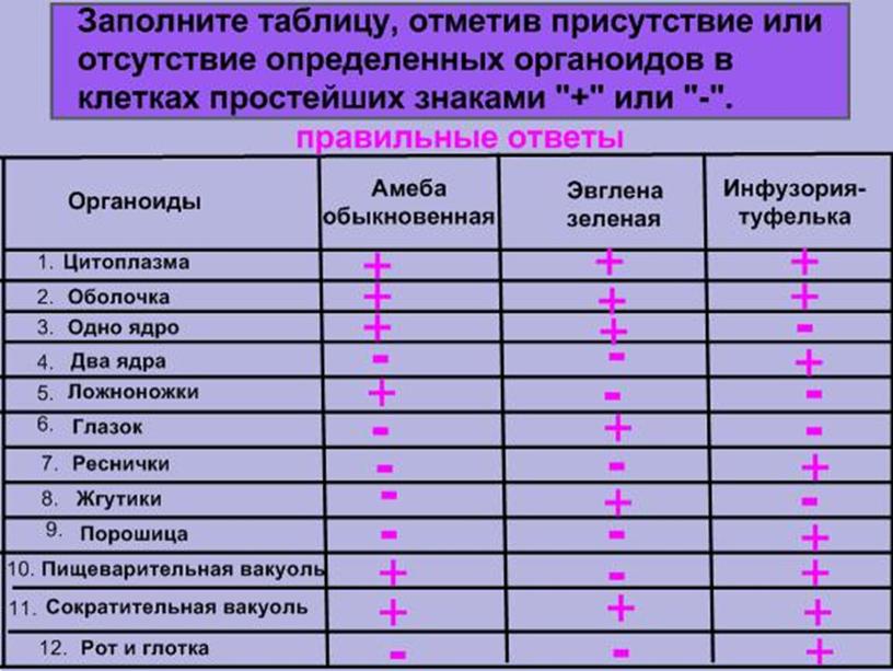 Презентация по биологии 7 класс "Общая характеристика простейших"