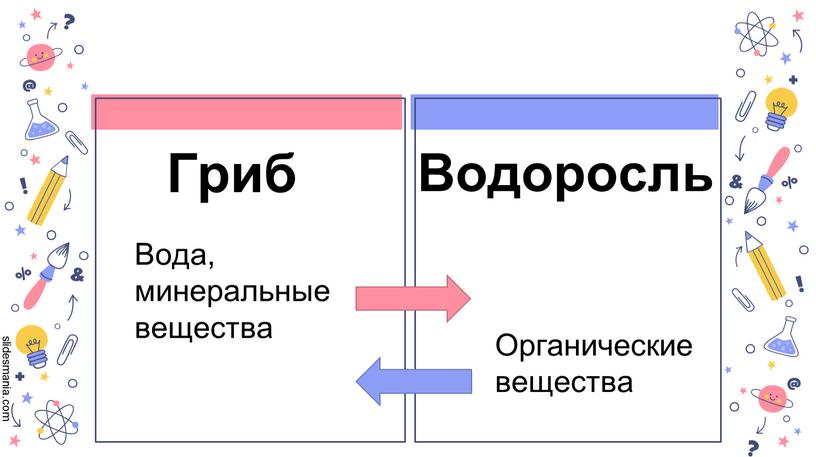 Гриб Водоросль Вода, минеральные вещества