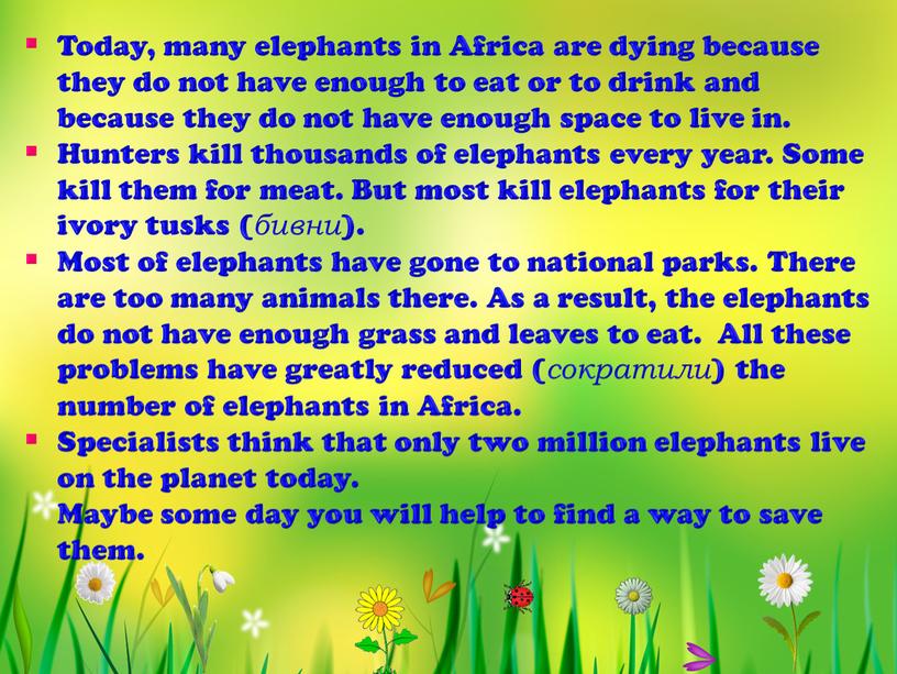 Today, many elephants in Africa are dying because they do not have enough to eat or to drink and because they do not have enough…