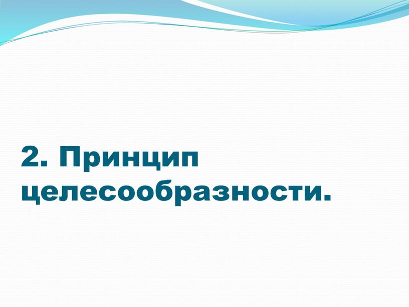 2. Принцип целесообразности.