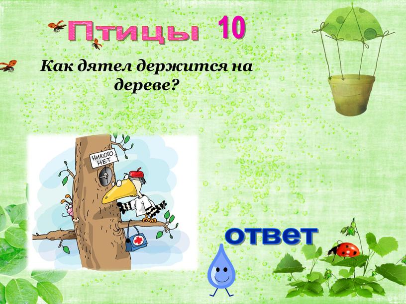 Птицы 10 Как дятел держится на дереве?