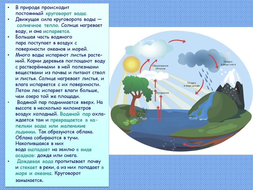В природе происходит постоянный круговорот воды