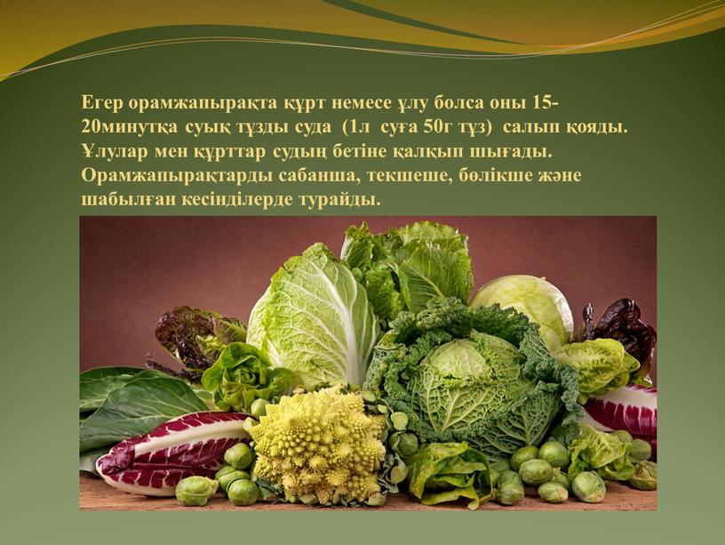 Егер орамжапырақта құрт немесе ұлу болса оны 15- 20минутқа суық тұзды суда (1л суға 50г тұз) салып қояды