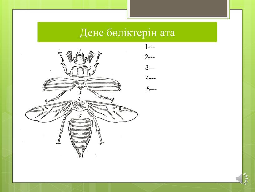 1--- 2--- 3--- 4--- 5--- Дене бөліктерін ата