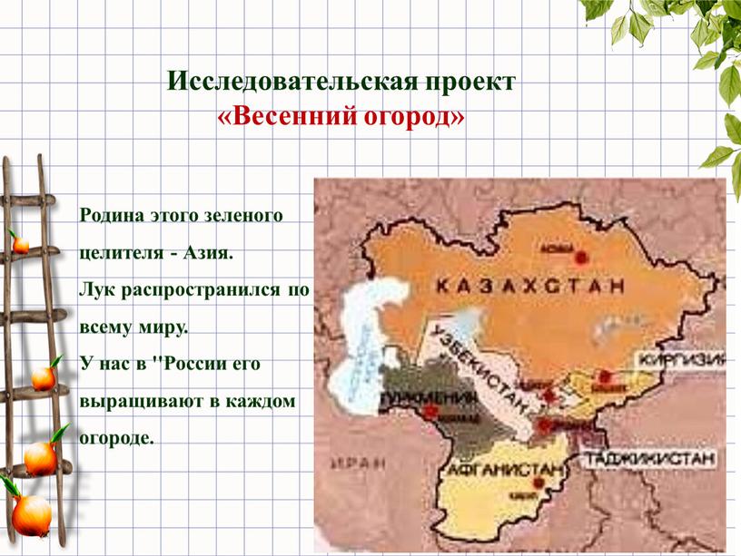 Исследовательская проект «Весенний огород»