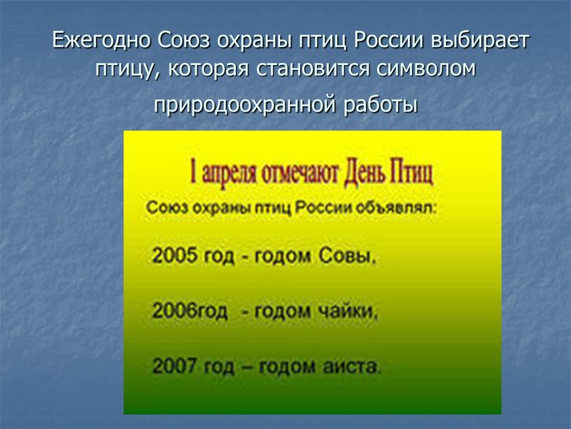 Ежегодно Союз охраны птиц России выбирает птицу, которая становится символом природоохранной работы