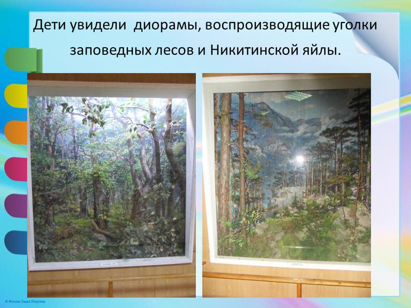 Дети увидели диорамы, воспроизводящие уголки заповедных лесов и