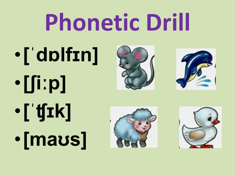 Phonetic Drill [ˈdɒlfɪn] [ʃiːp] [ˈʧɪk] [maʊs]