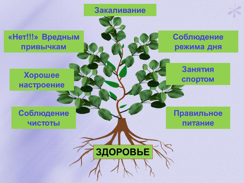 ЗДОРОВЬЕ Соблюдение чистоты Правильное питание