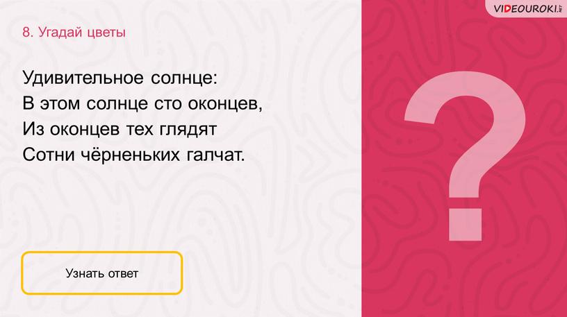 Угадай цветы Узнать ответ Удивительное солнце: