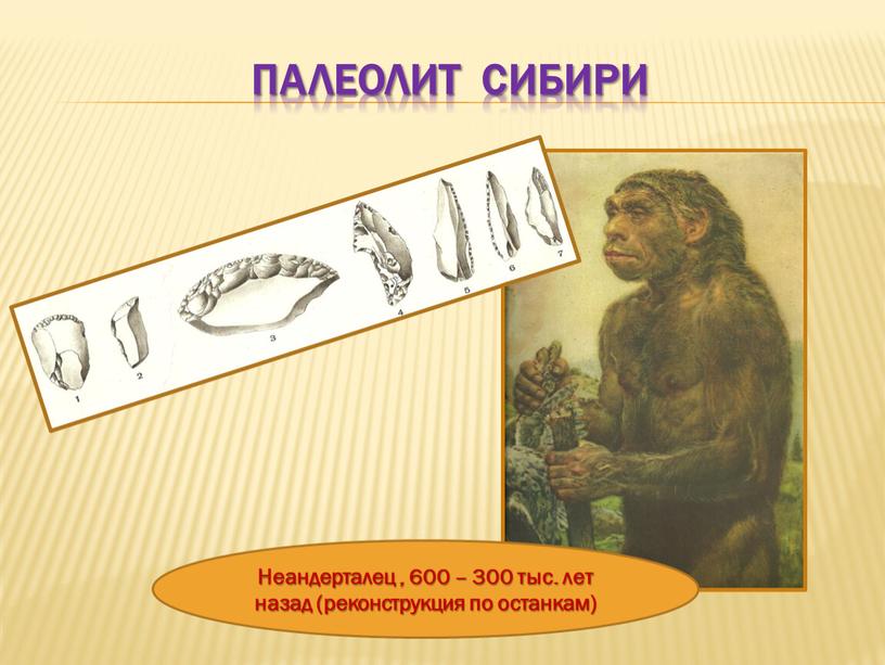 Палеолит сибири Неандерталец , 600 – 300 тыс