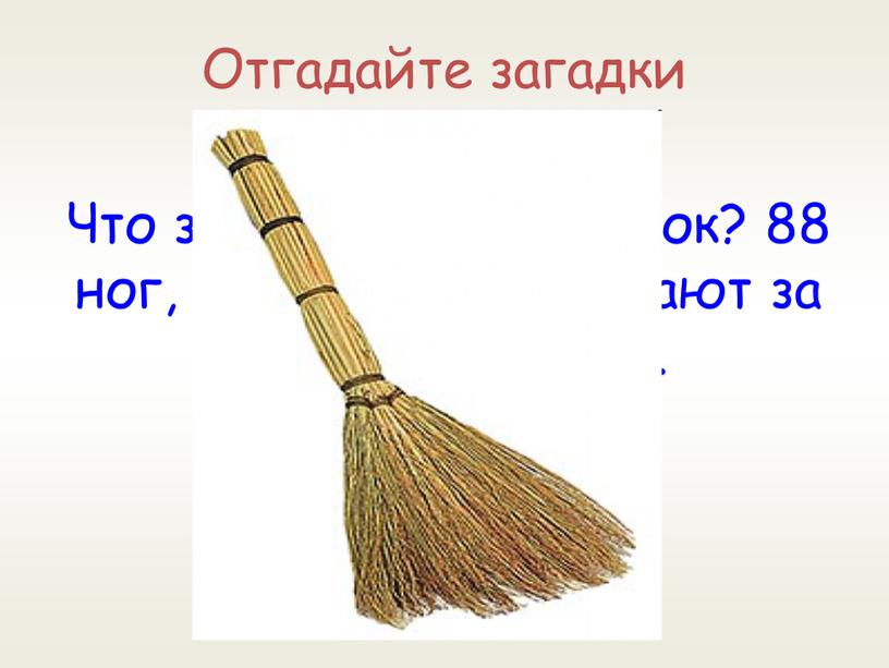 Отгадайте загадки Что за шустрый старичок? 88 ног, все по полу шаркают за работой жаркою