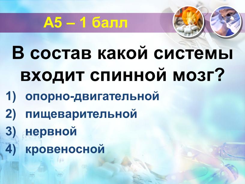 А5 – 1 балл В состав какой системы входит спинной мозг? опорно-двигательной пищеварительной нервной кровеносной