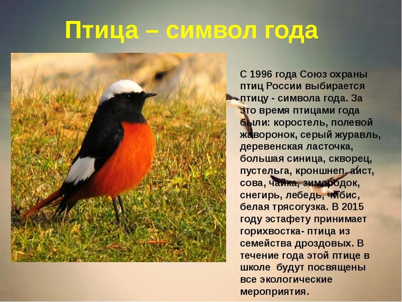 Презентация " 1 апреля - Международный день птиц"