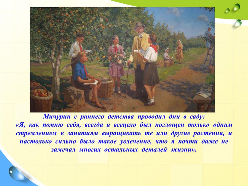 Мичурин с раннего детства проводил дни в саду: «Я, как помню себя, всегда и всецело был поглощен только одним стремлением к занятиям выращивать те или…