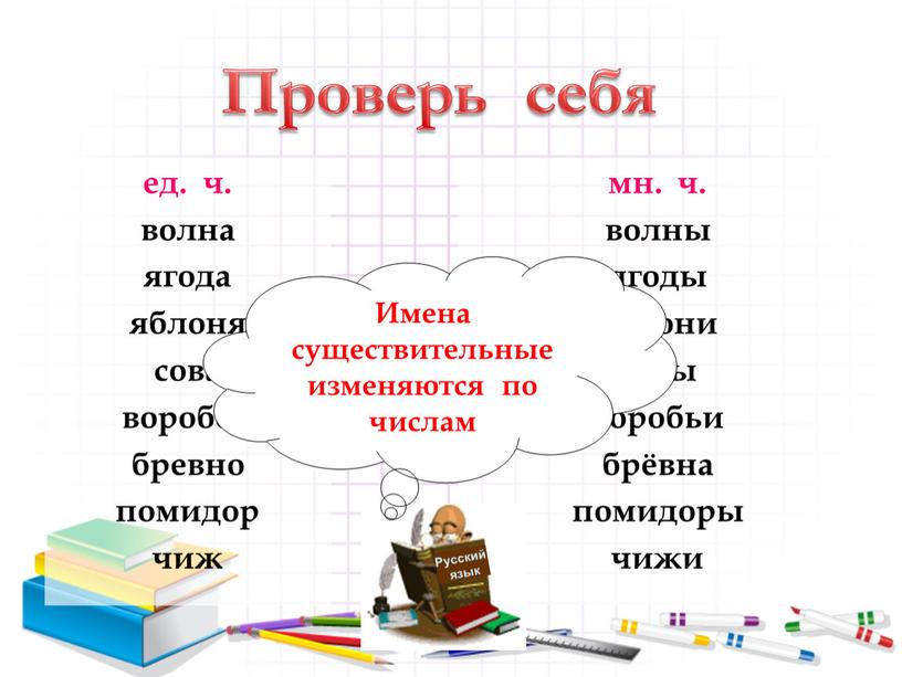 Русский язык Имена существительные изменяются по числам