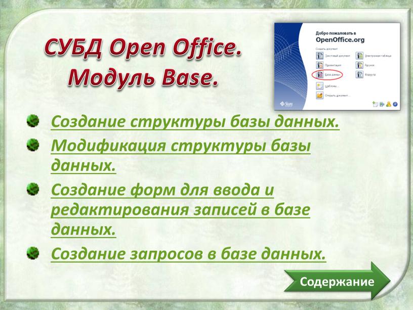 СУБД Open Office. Модуль Base.