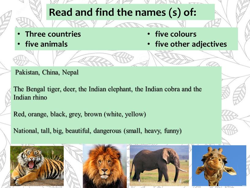 Pakistan, China, Nepal The Bengal tiger, deer, the