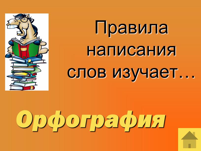 Правила написания слов изучает…