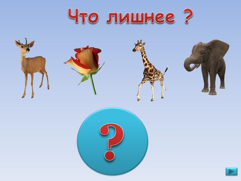 Что лишнее ? ?