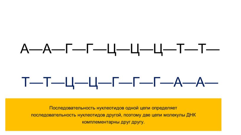 А—А—Г—Г—Ц—Ц—Ц—Т—Т— Т—Т—Ц—Ц—Г—Г—Г—А—А—