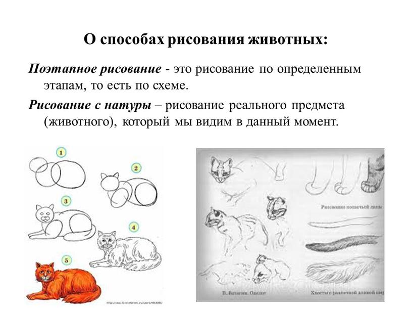 О способах рисования животных: