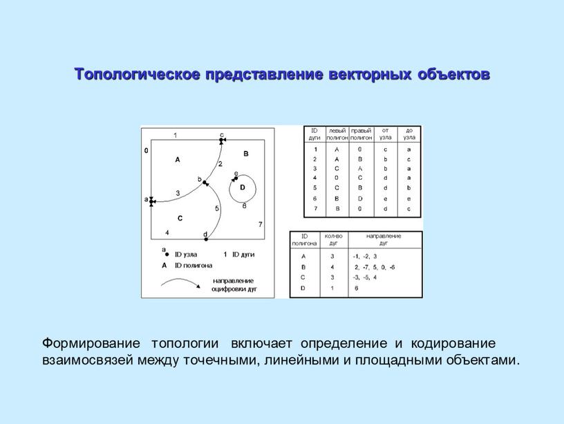 Топологическое представление векторных объектов