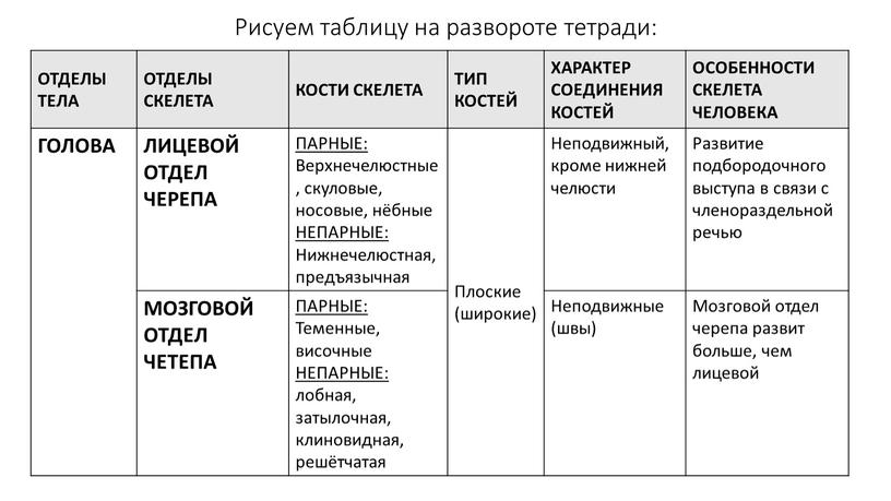 Рисуем таблицу на развороте тетради: