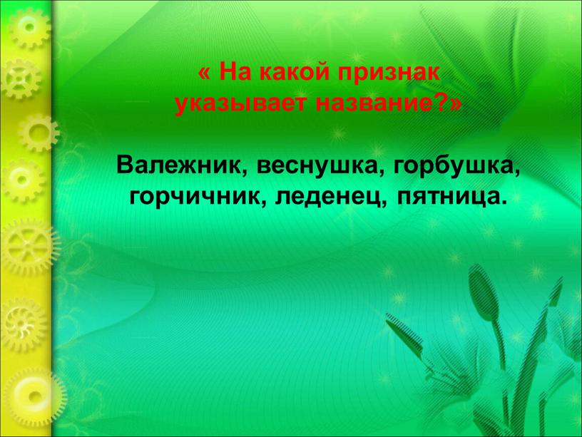 На какой признак указывает название?»