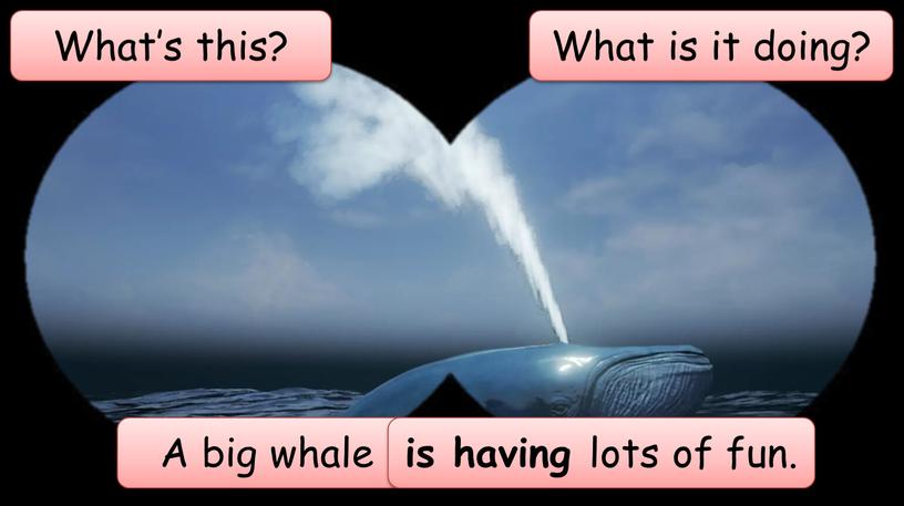 What’s this? A big whale What is it doing? is having lots of fun