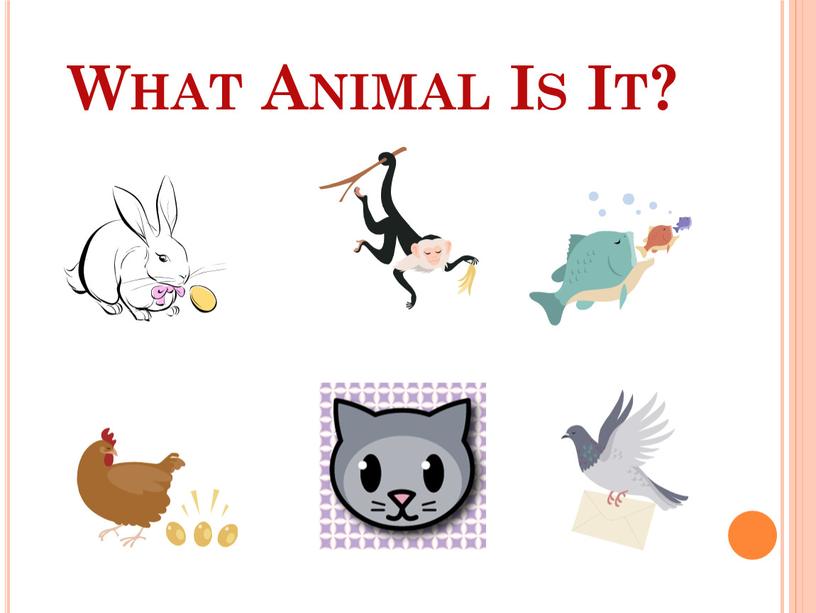 What Animal Is It?