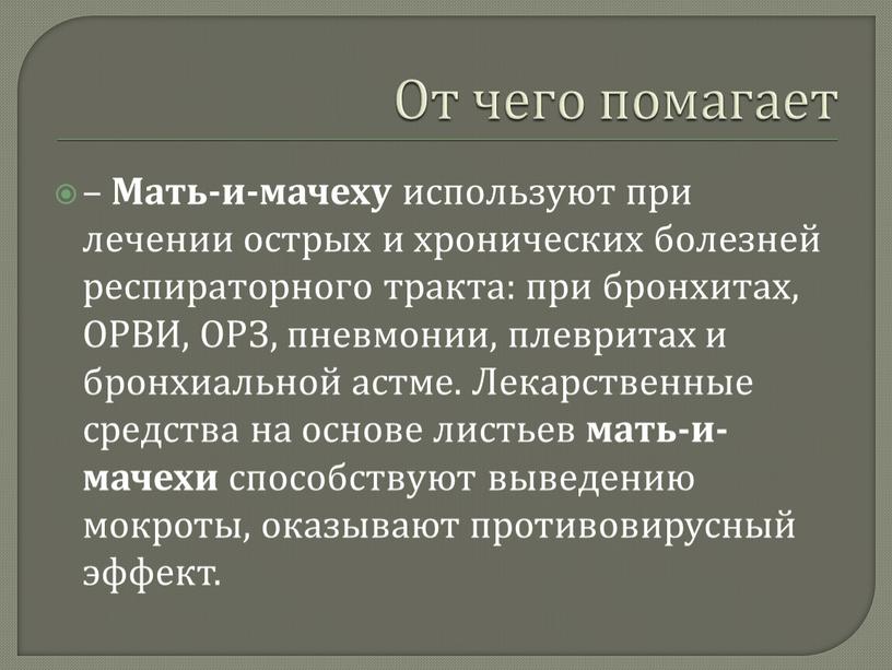 От чего помагает – Мать-и-мачеху используют при лечении острых и хронических болезней респираторного тракта: при бронхитах,