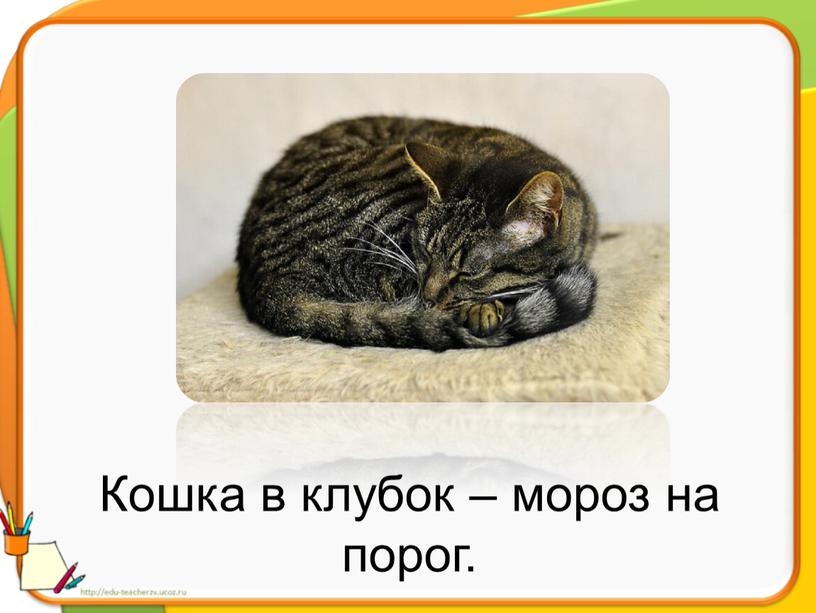 Кошка в клубок – мороз на порог