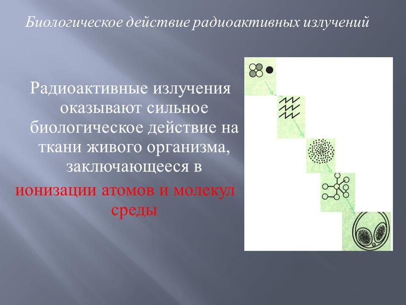 Радиоактивные излучения оказывают сильное биологическое действие на ткани живого организма, заключающееся в ионизации атомов и молекул среды