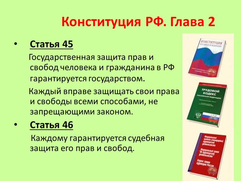 Конституция РФ. Глава 2 Статья 45