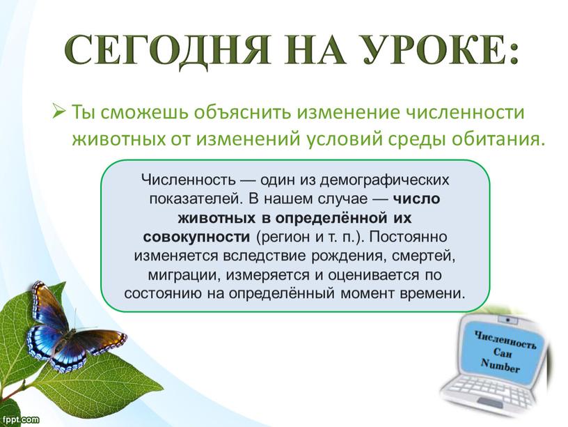 Ты сможешь объяснить изменение численности животных от изменений условий среды обитания