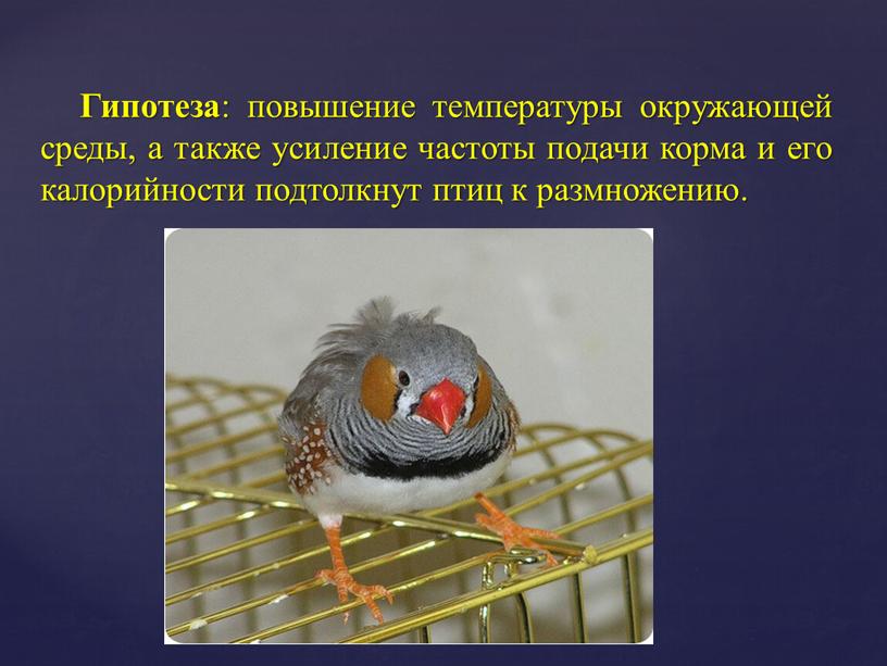 Гипотеза : повышение температуры окружающей среды, а также усиление частоты подачи корма и его калорийности подтолкнут птиц к размножению