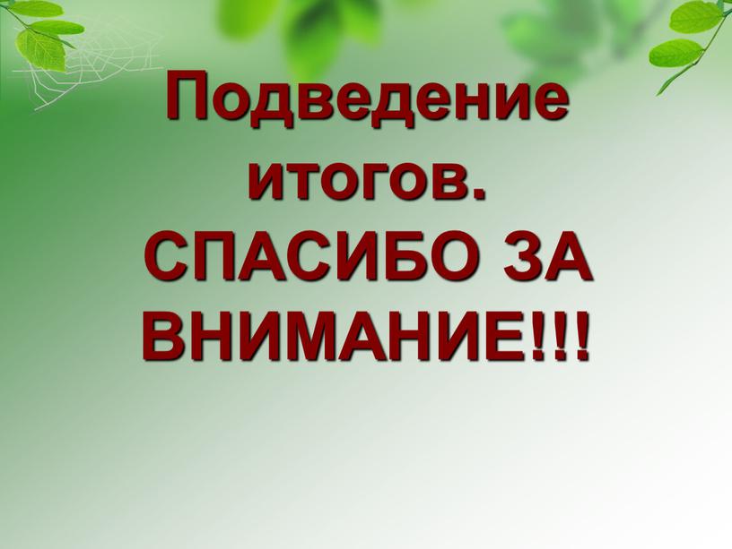 Подведение итогов. СПАСИБО ЗА